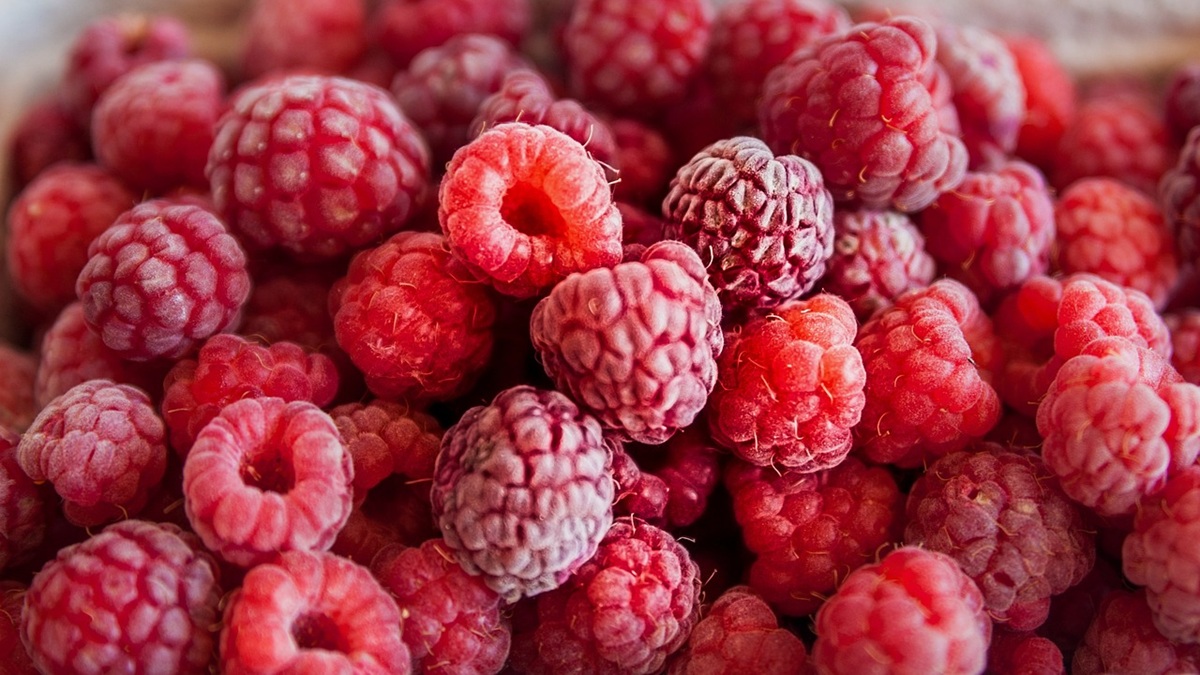 Macfrut 2026 apuesta por las bayas, Crecimiento y renovación de la Berry Area.jpg